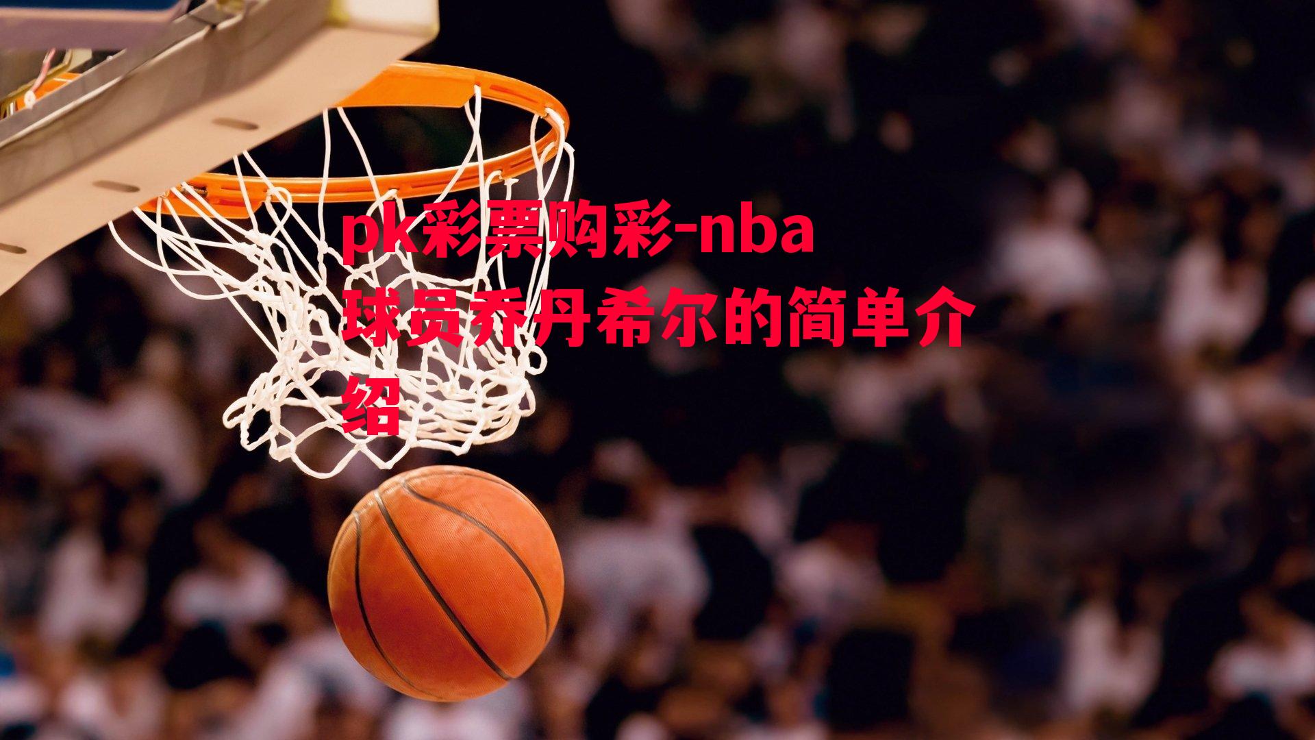 nba球员乔丹希尔的简单介绍